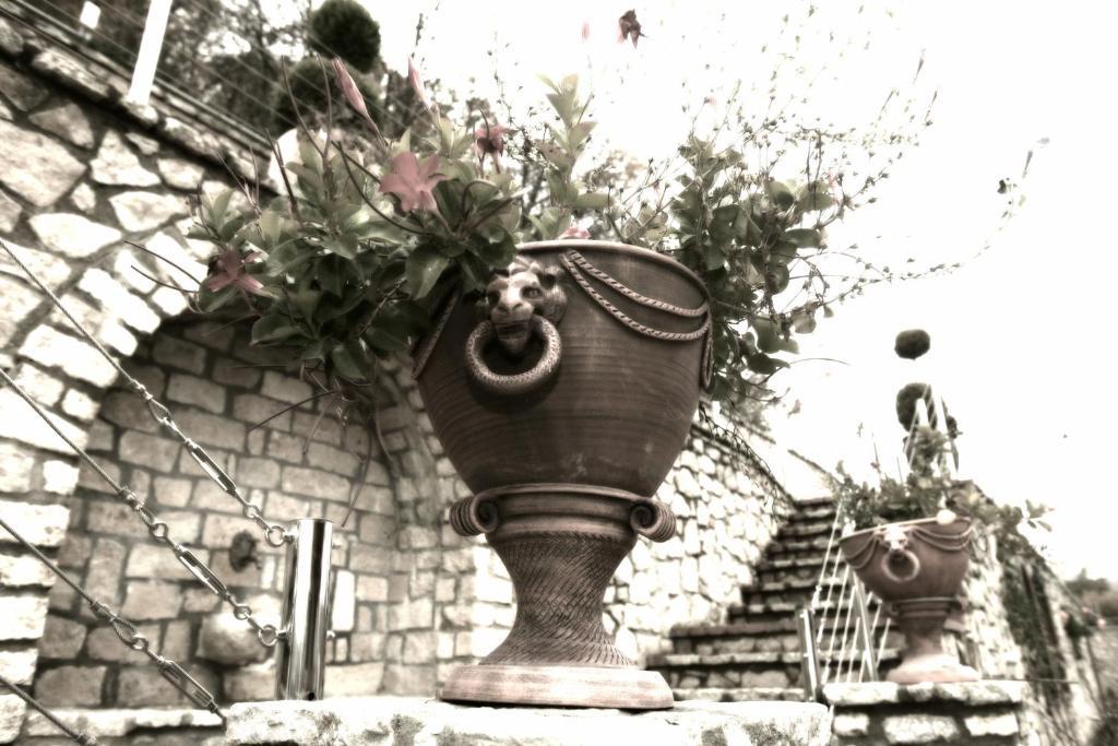 Afkos Grammos Boutique Hotel Resort Nestorion Zewnętrze zdjęcie